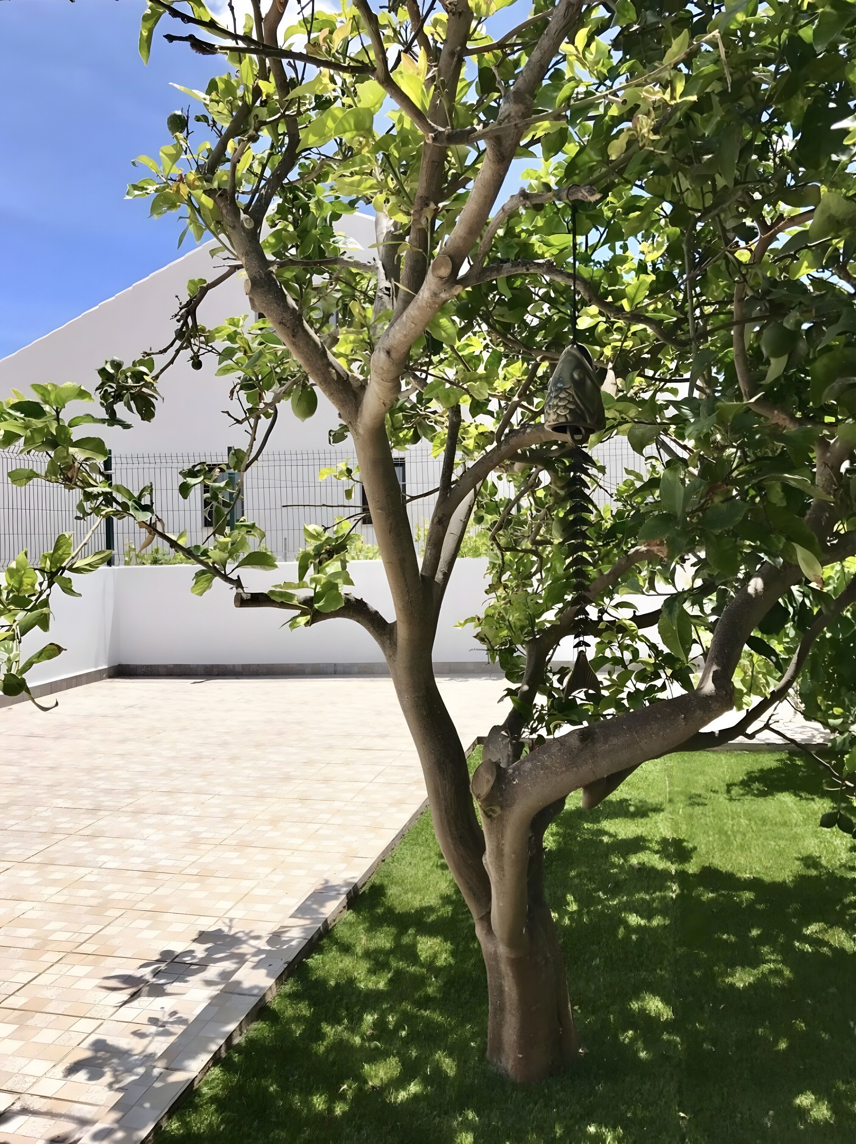 Parco della struttura