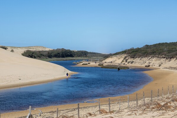 Playa en los alrededores 