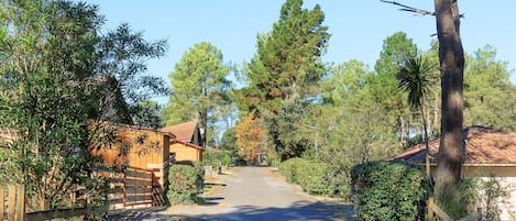 A rural road leading to a wooden cabin with a tiled roof, surrounded by trees and greenery.