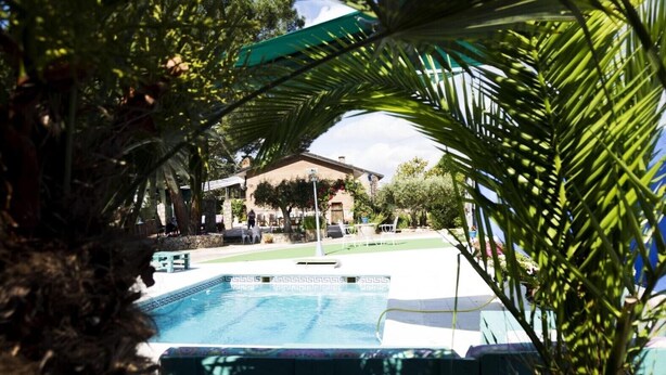 A swimming pool surrounded by palm trees and a building with outdoor seating.