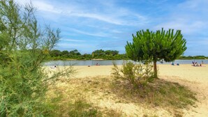 A beach with sand, a tree, and a body of water. - Apartment 'Chalet B Village Vacances' with Shared Pool, Private Terrace and Wi-Fi (Gujan-Mestras)