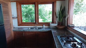 Une cuisine avec des meubles de rangement en bois, une cuisinière à gaz, un évier et une fenêtre donnant sur un paysage verdoyant.