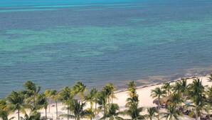Une plage aux eaux turquoise et limpides, bordée de palmiers.