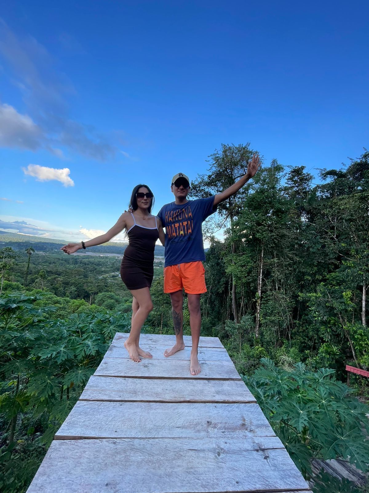 Two people standing on a wooden platform with a view of a forest and distant landscape.