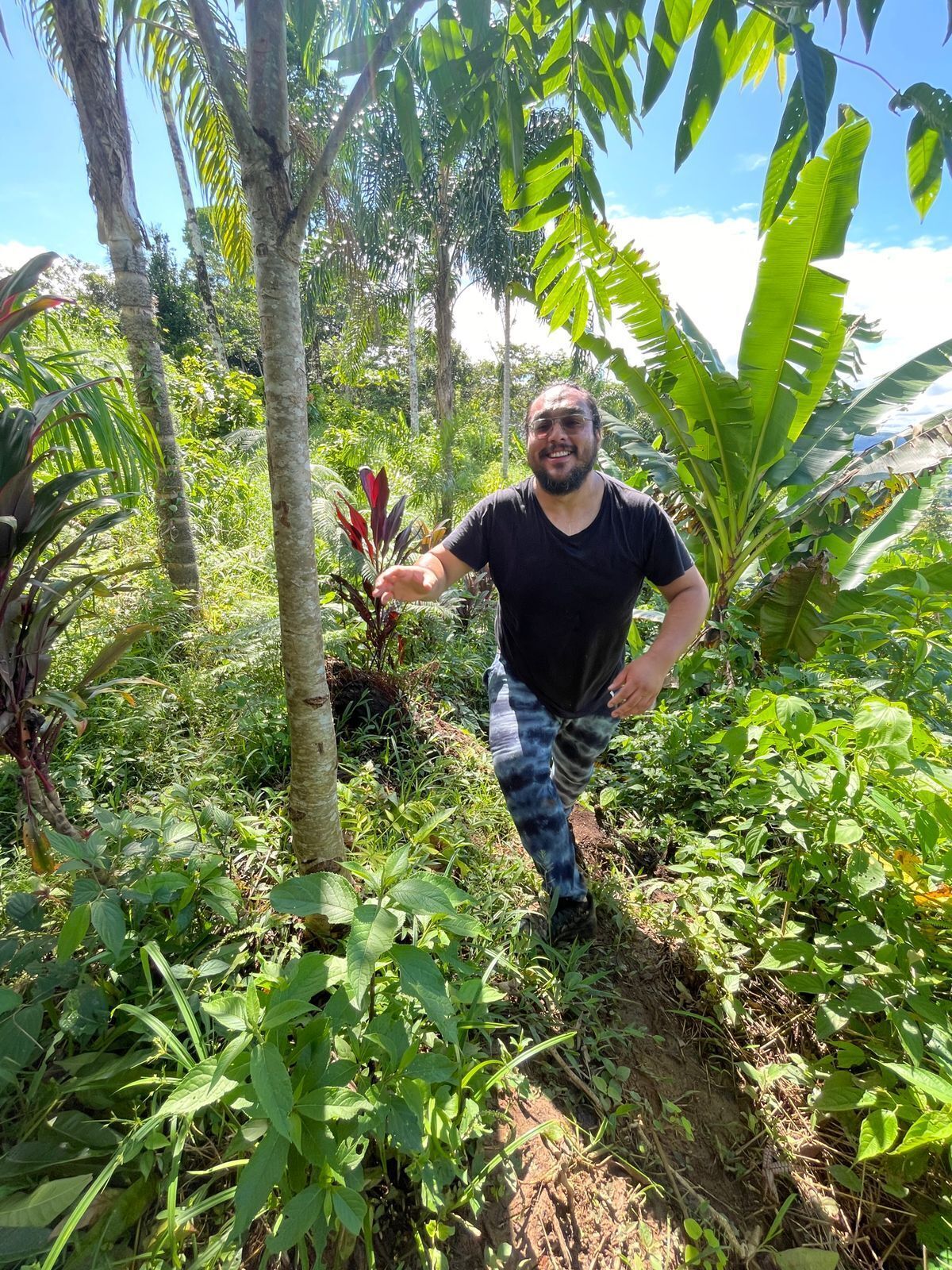 A man walking through a lush, green forested area with various plants and trees.