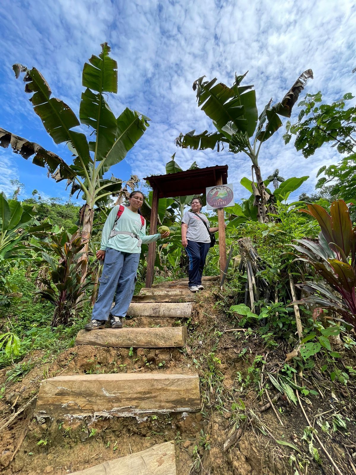 A wooden staircase leading up to a wooden structure with a sign that reads "ILLARI".
