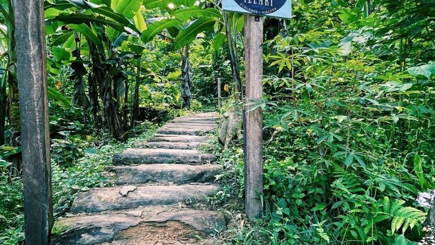 A wooden staircase leading to a covered area with a sign that reads "ILLARI ECOLOGIA - MIRADOS".