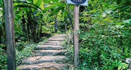 Cabañas en un Mirador, divisa la belleza amazónica