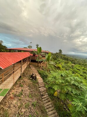 Área da propriedade