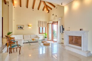 TV, fireplace, books