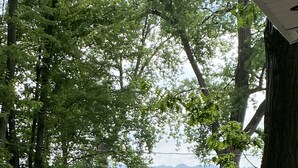 Un sendero conduce a una masa de agua, rodeado de árboles y un cobertizo pequeño.