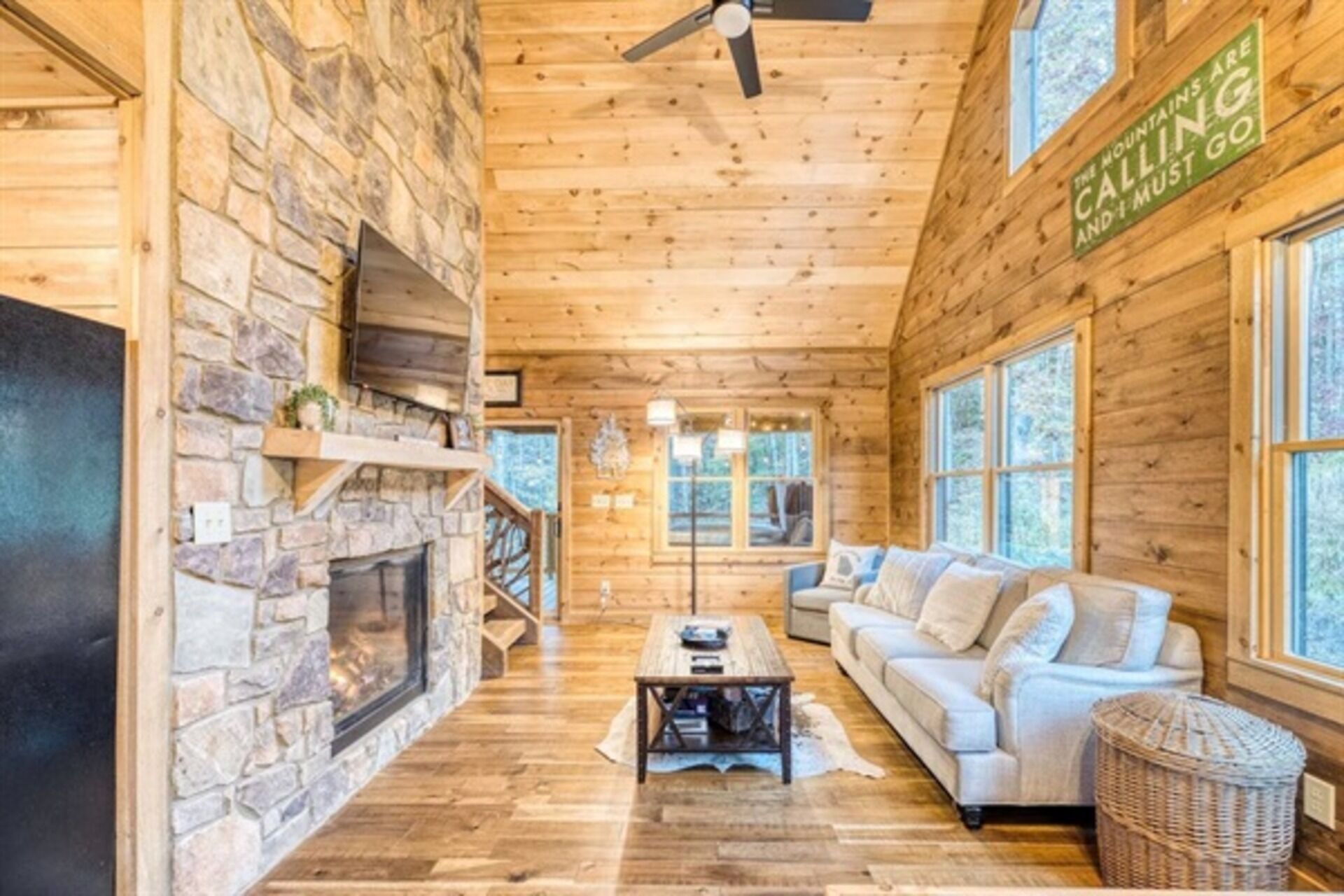 Télévision, cheminée