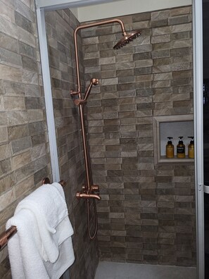 Shower, hair dryer, towels, soap
