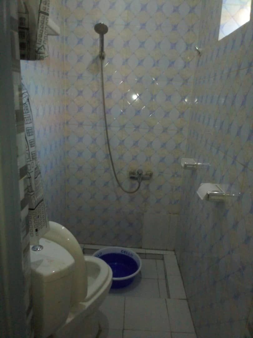 Een kleine badkamer met toilet, douche en een blauwe wastafel.