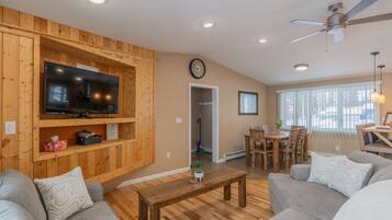 Smart TV, fireplace, books