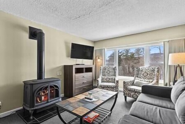 TV, fireplace, DVD player