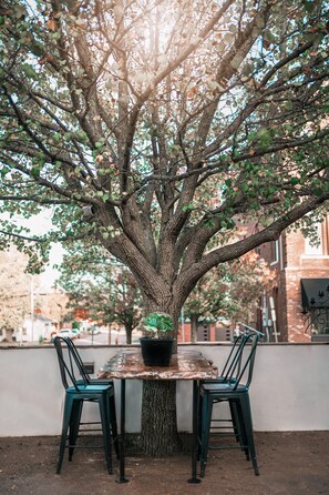 A table with two chairs under a large tree with a potted plant on it.