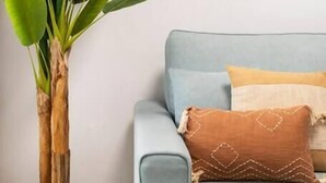 A room with a light blue sofa, two round mirrors, and a potted plant. - Beautiful apartment on the beach (Torrevieja)