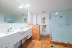 Shower, hair dryer, towels