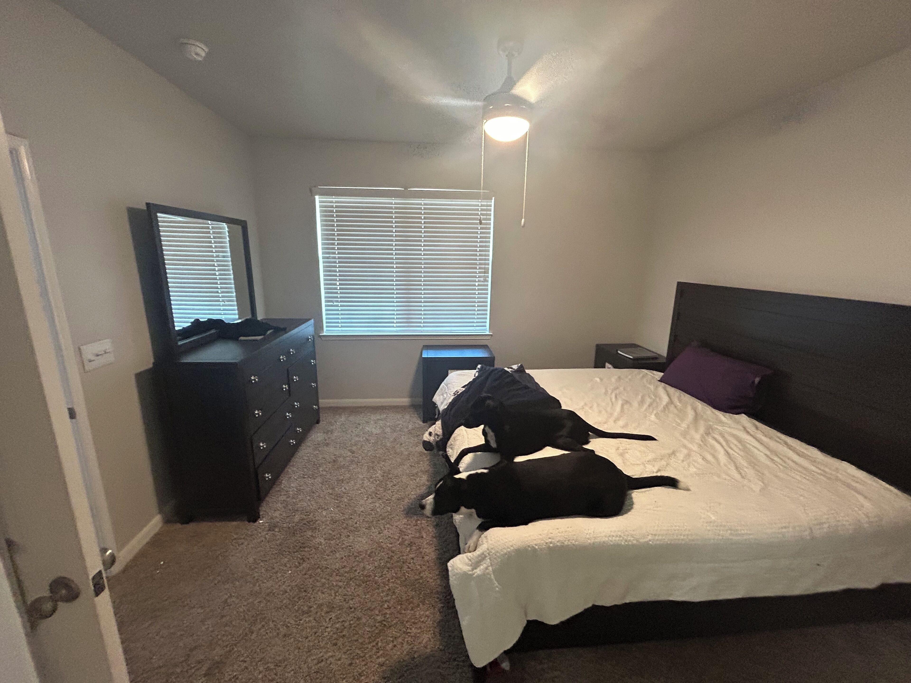 Unique 3BR APT near Downtown & Domain, Indoor B-Ball,Pool & open long discounts