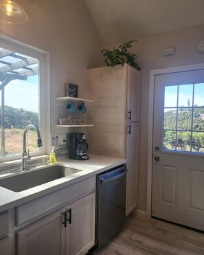 Una cocina con un lavamanos, cafetera y una planta en maceta.