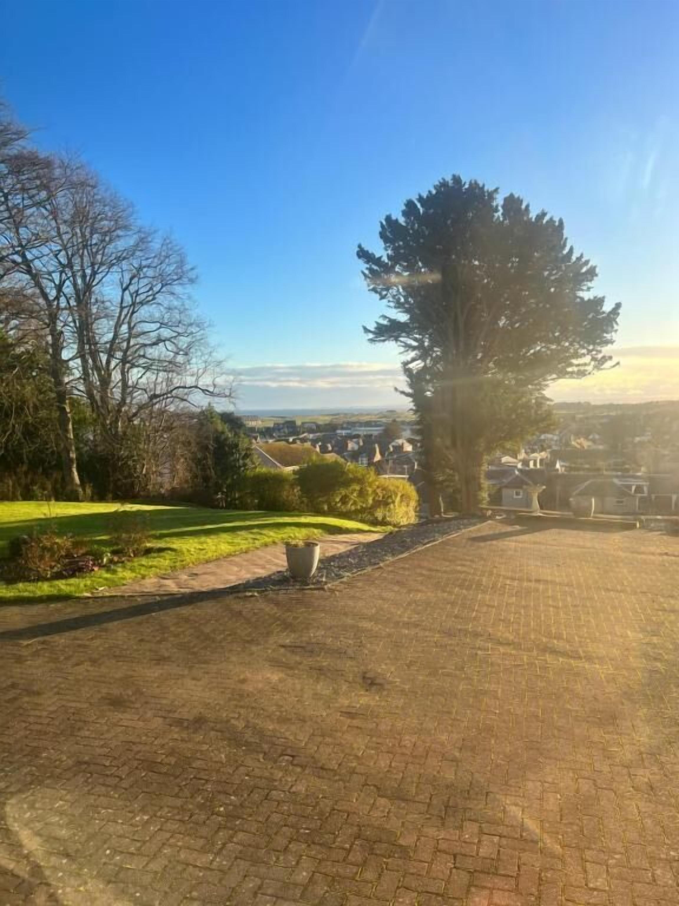 Une allée pavée mène à un quartier résidentiel où se trouvent des maisons et un grand arbre.