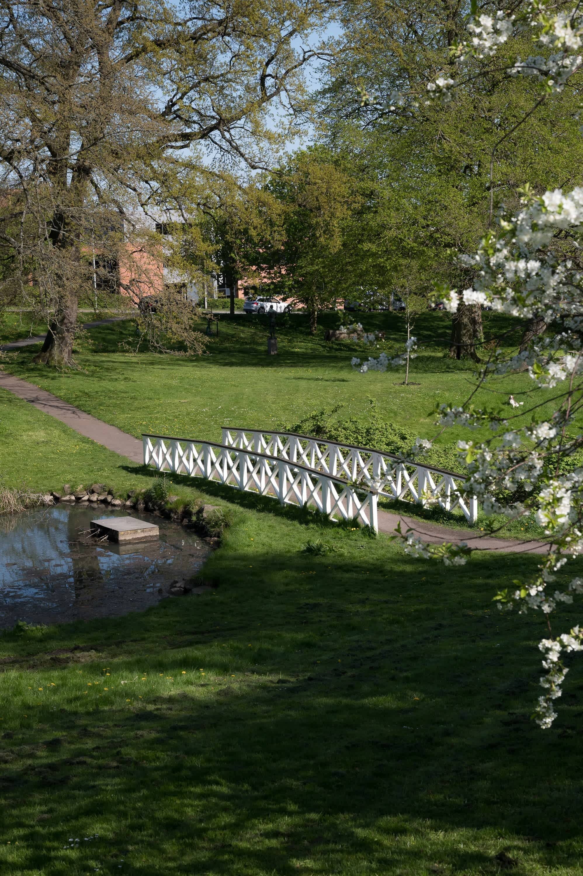 Overnatningsstedets område