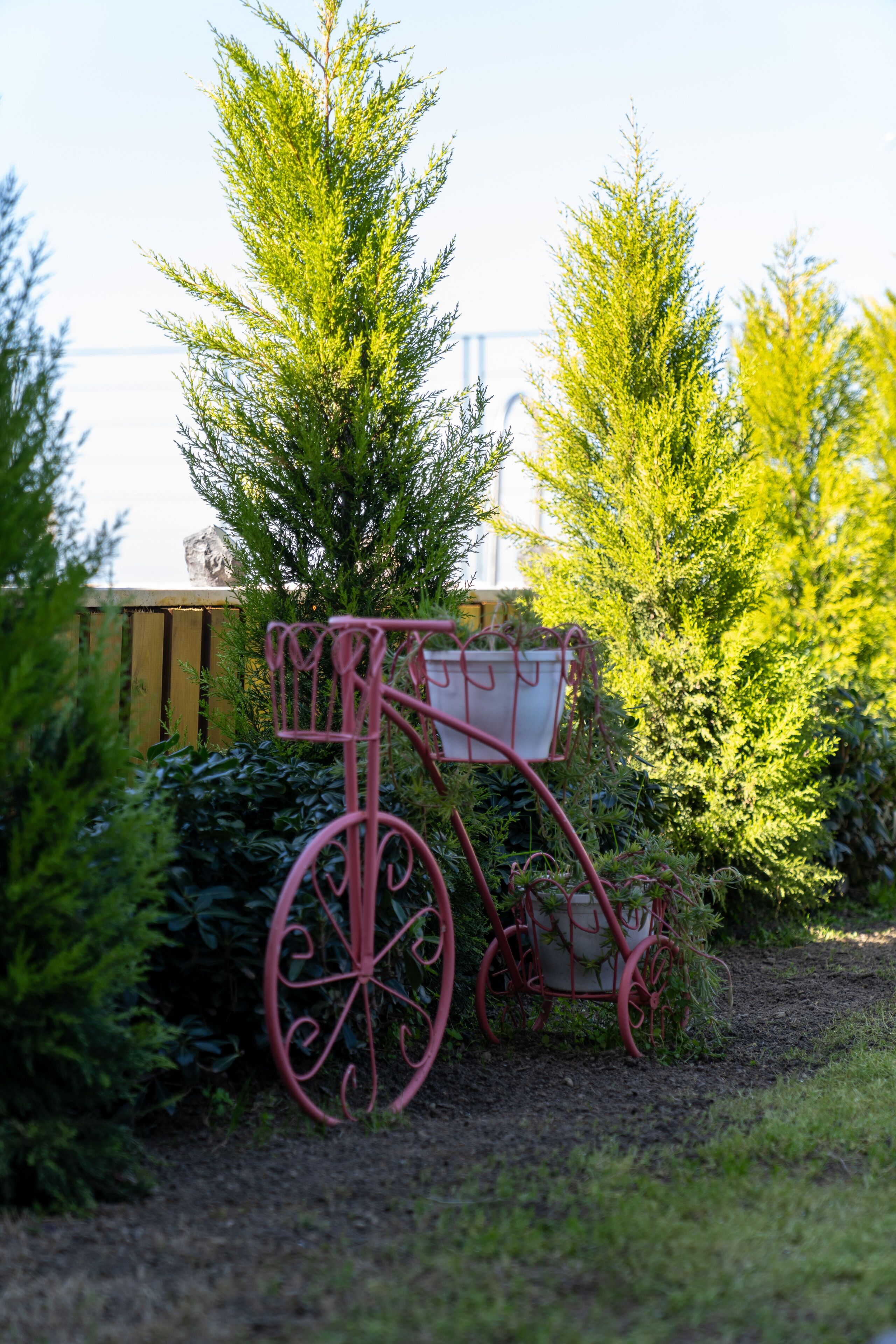 A red bicycle with a basket in a garden setting.