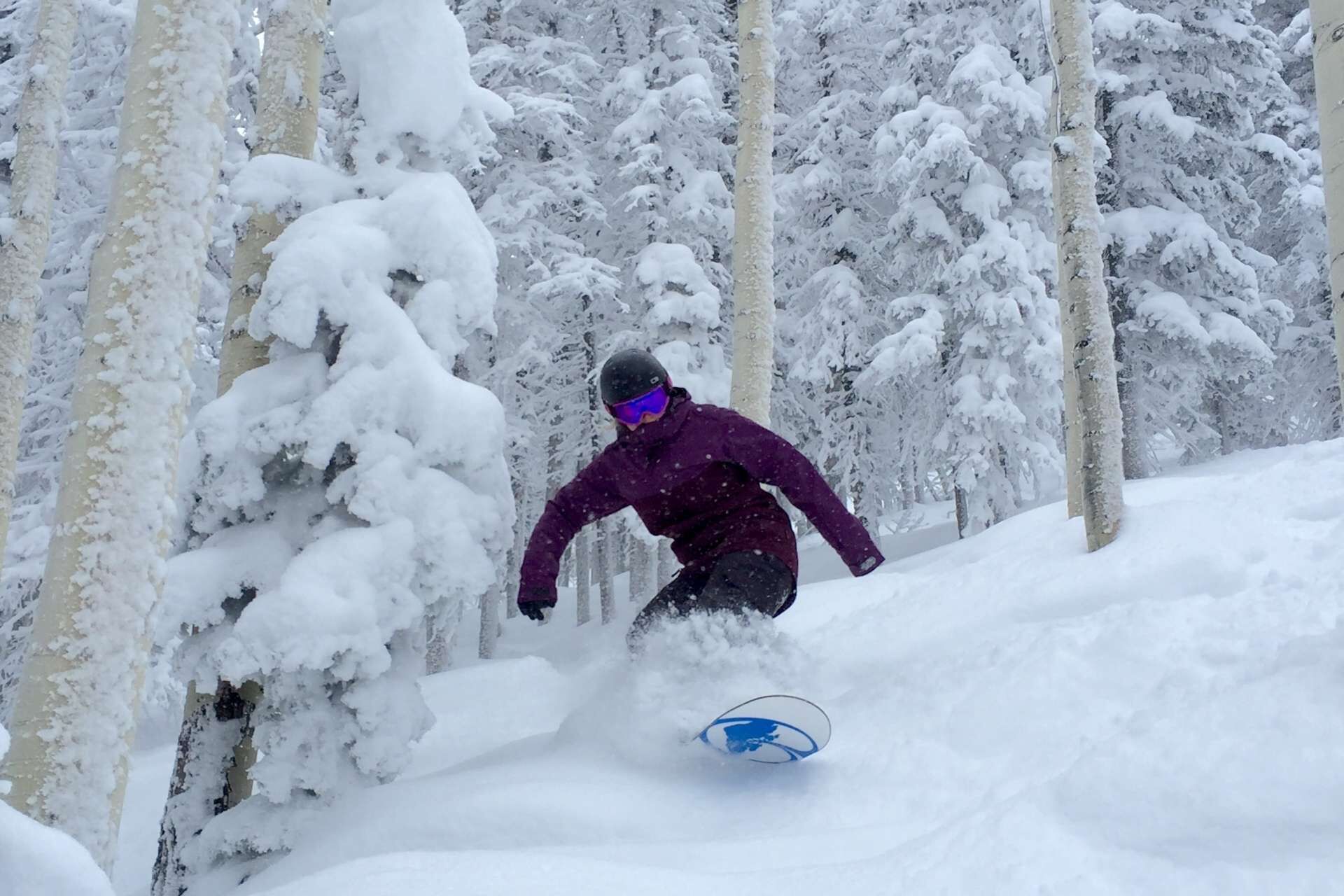 Un snowboarder con chaqueta y casco morados deslizándose por una ladera nevada con árboles al fondo.