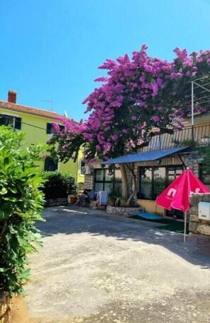 Área da propriedade