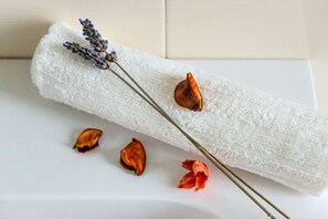 Miscellaneous - Home Panoramic Relax -the Sea From the Terrace-venice in 20 Minutes (Chioggia)