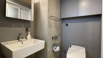 A modern bathroom with a white sink, a toilet, and a mirror above the sink.