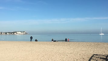 Plage à proximité, chaises longues, serviettes de plage