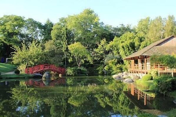 Property grounds - Studio Naturel - canal du midi (Toulouse)