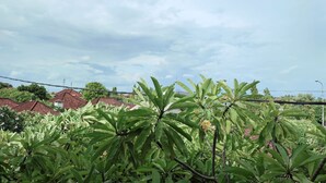 A garden with various plants and trees, a clear sky, and houses in the background. - Ananda's Sanur (Denpasar)