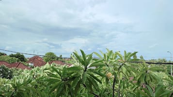 Kamar Double | Pemandangan kota