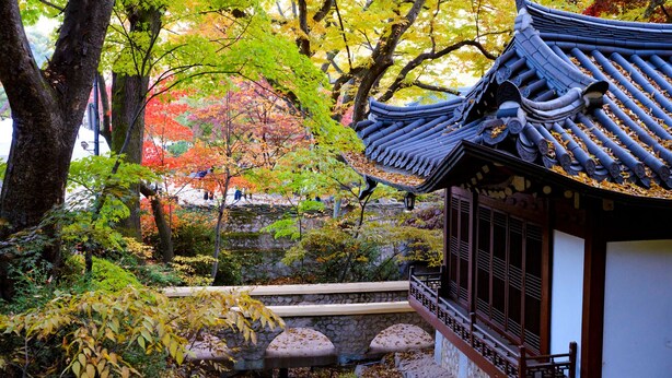 En traditionel japansk bygning med et tagdækket tag, stenvægge og en stensti, der fører til et siddeområde.