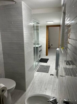 Shower, hair dryer, bidet, towels