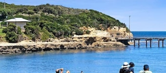 12 Apostles Beach House; with ocean & valley views