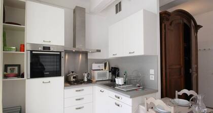 Central Luchon T2 for 4 with Parking