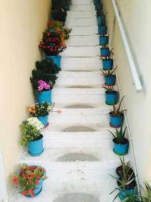 Apartment, 2 Bedrooms, Balcony, Garden View | Interior