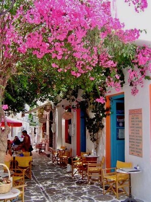 Apartment, 2 Bedrooms, Balcony, Garden View | Outdoor dining - Tim's Place apt 10- 5min On Foot From The Beach (Mylopotamos)
