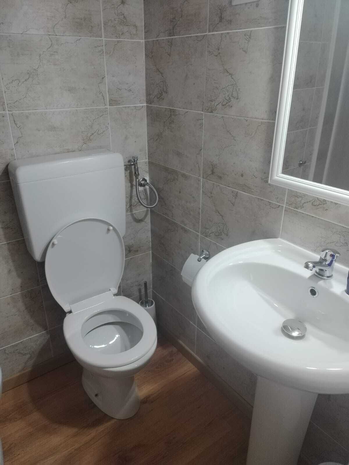 Un baño con inodoro, lavamanos y espejo.