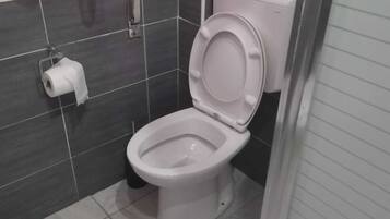 A bathroom with a toilet, a roll of toilet paper, and a window with a red curtain.