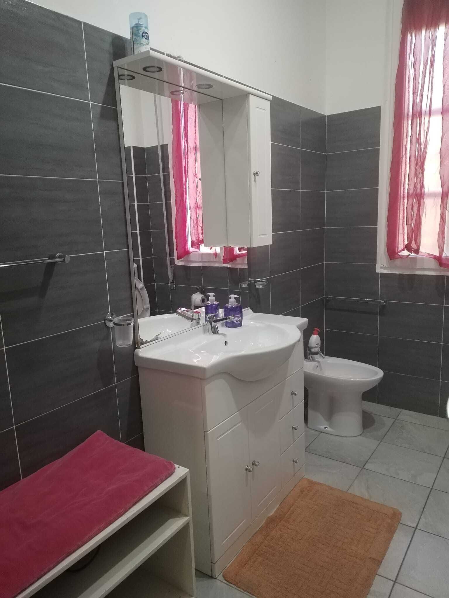 Une salle de bain avec un lavabo blanc, un miroir, des toilettes et un espace douche.