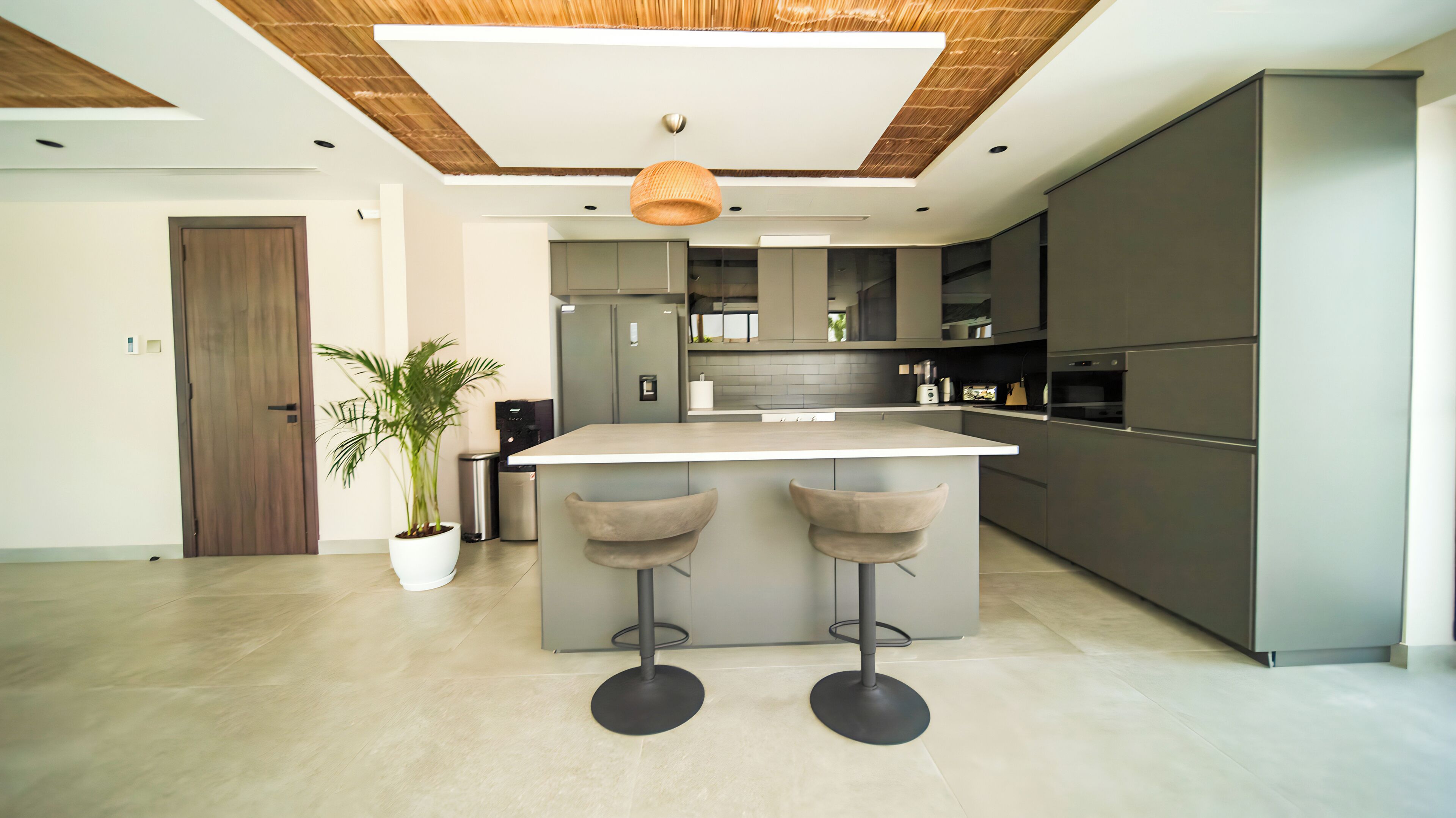 Una cocina moderna con una isla central, electrodomésticos de acero inoxidable y una planta en maceta.