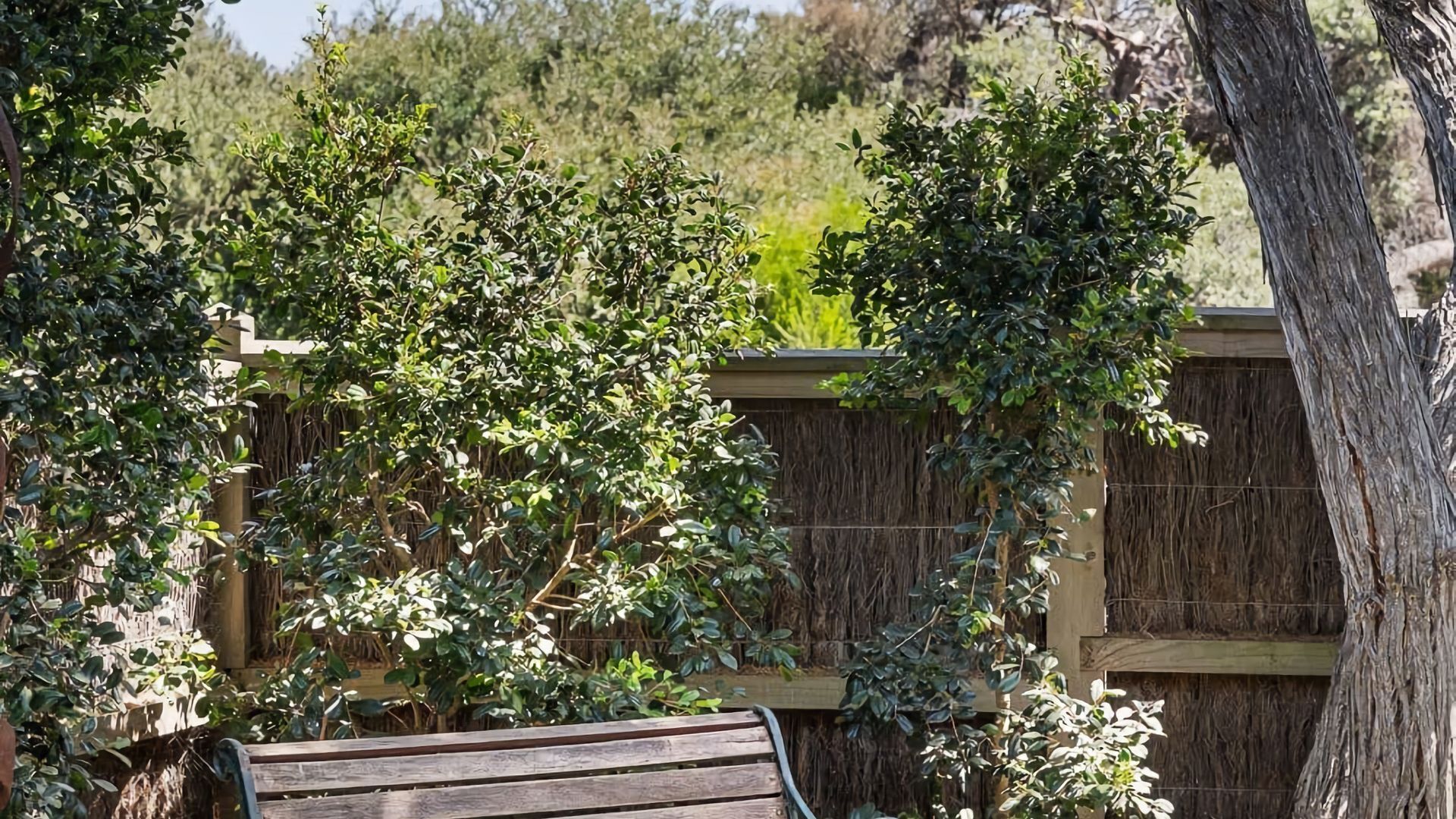 Studio One Outdoor Garden