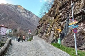 Eksteriør