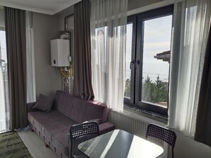 Iron/ironing board, free WiFi - Ceviz Pansiyon (Sinop)