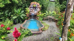 Un jardin agrémenté d’un élément aquatique central, entouré d’une végétation luxuriante et de plantes en fleurs.
